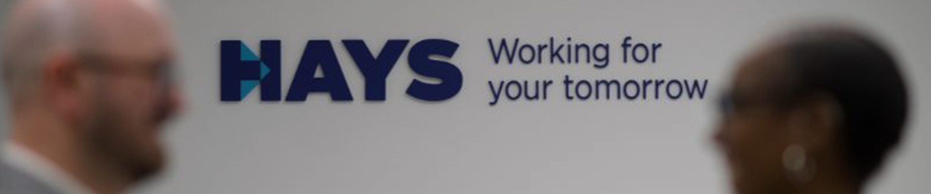 Hays Our Story banner