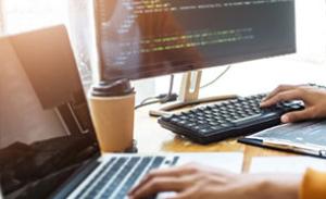 Three developer career paths and how to hack them