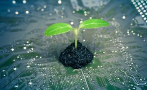 Technology leaders discuss why organisations must ensure a greener future